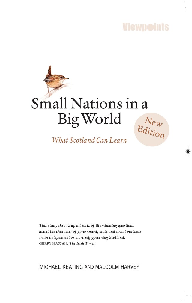 Book cover for Small Nations in a Big World