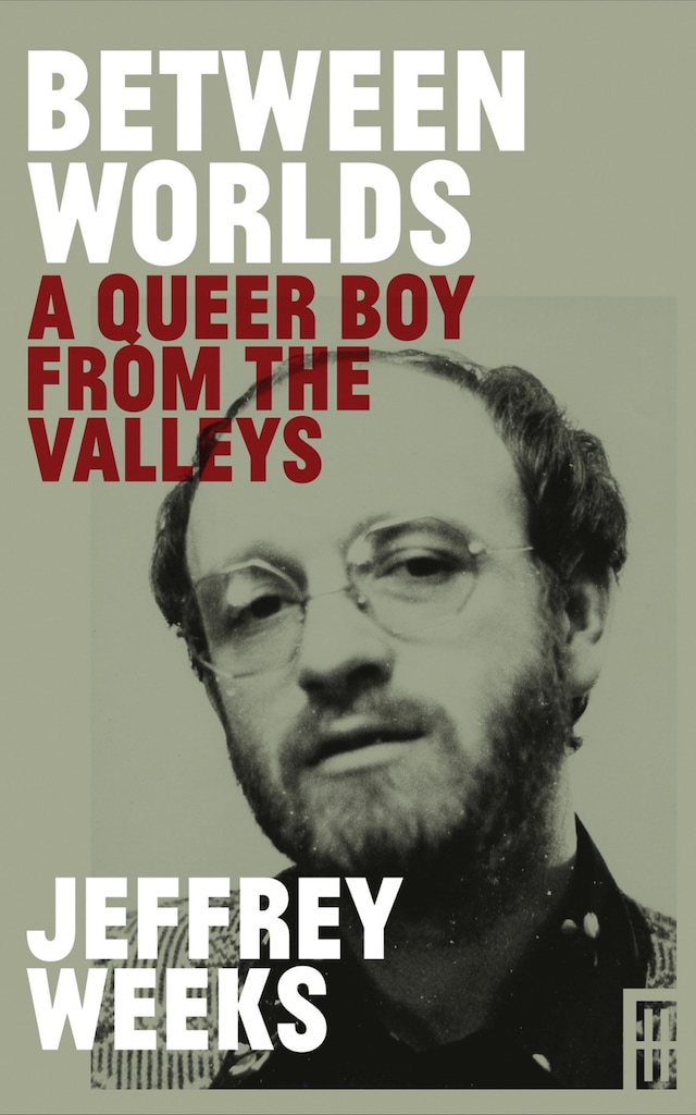 Book cover for Between Worlds: A Queer Boy From the Valleys