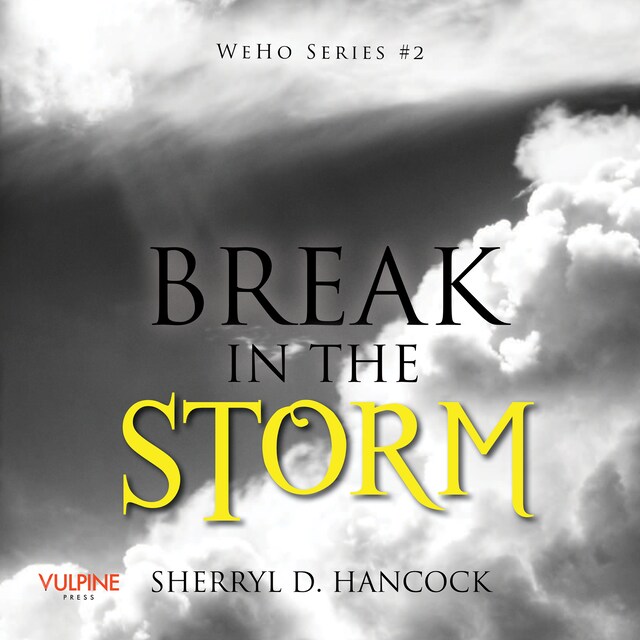 Book cover for Break in the Storm