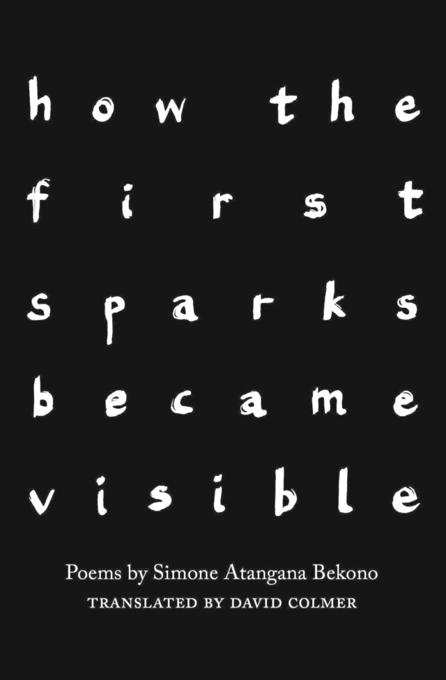 Okładka książki dla how the first sparks became visible