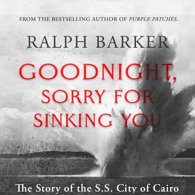 Book cover for Goodnight, Sorry for Sinking You (Unabridged)