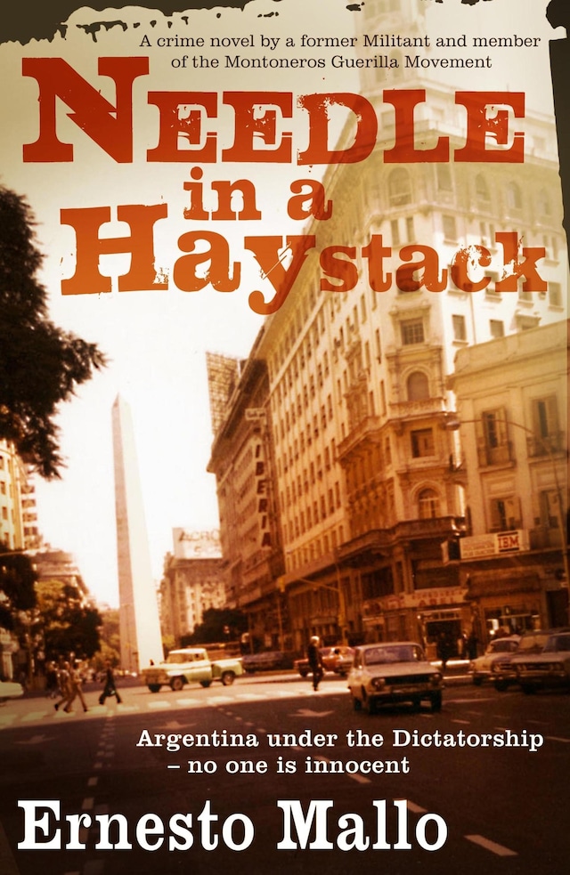 Book cover for Needle in a Haystack