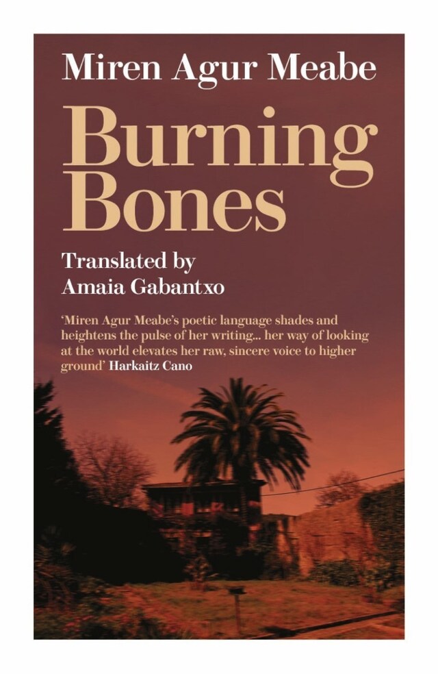 Buchcover für Burning Bones