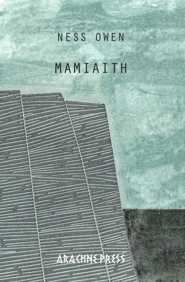 Book cover for Mamiaith