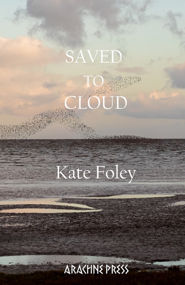 Boekomslag van Saved to Cloud