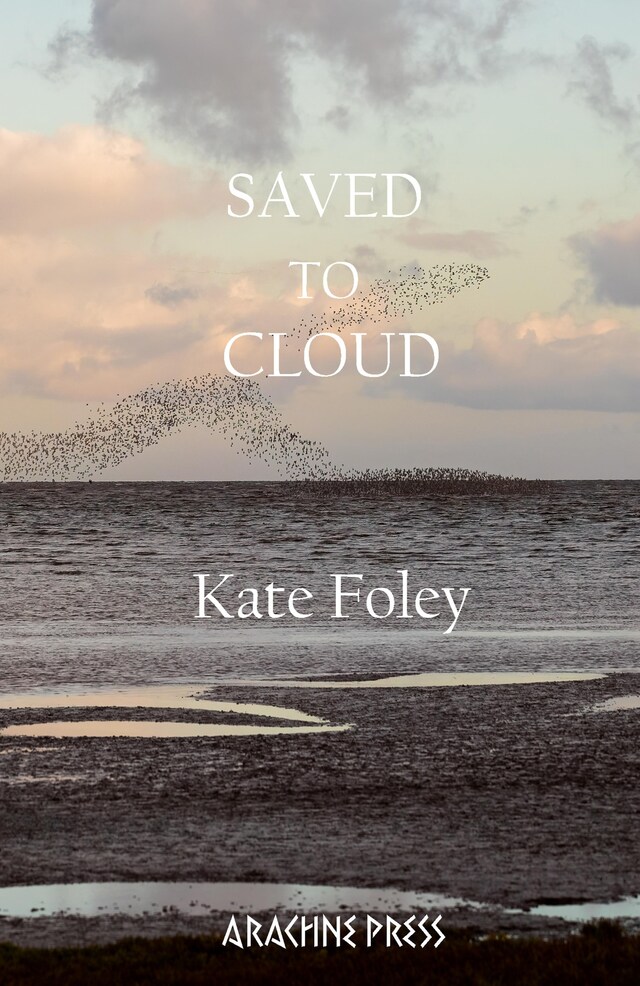 Portada de libro para Saved to Cloud