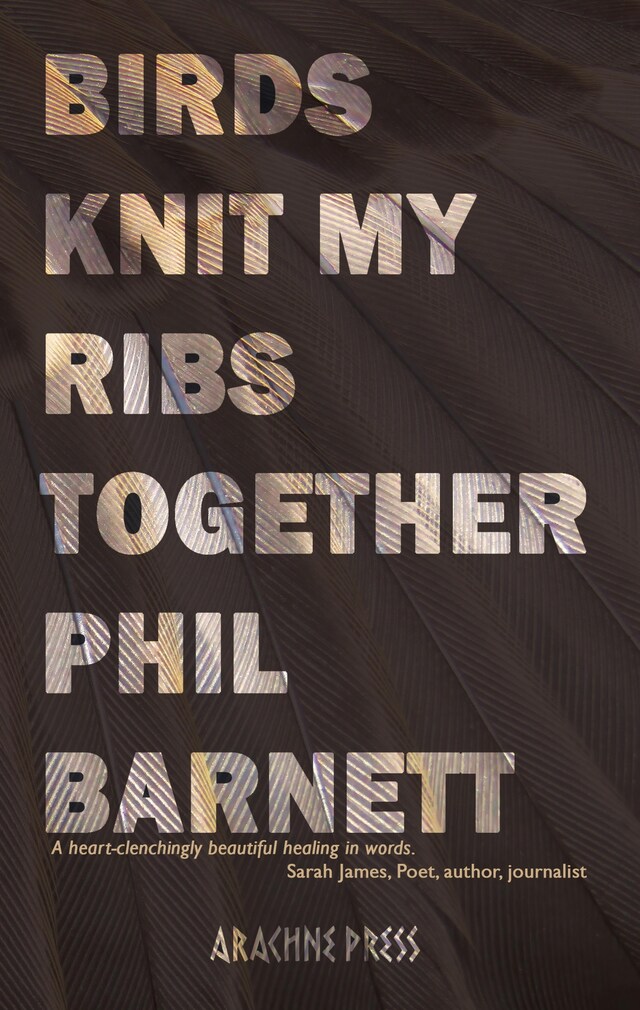 Book cover for Birds Knit My Ribs Together