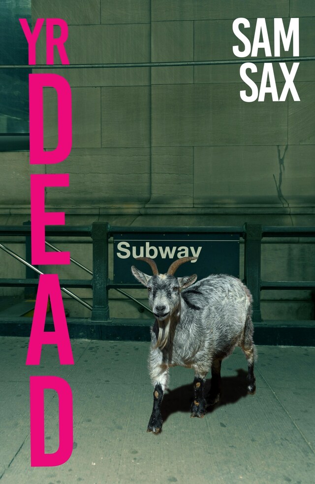 Book cover for Yr Dead