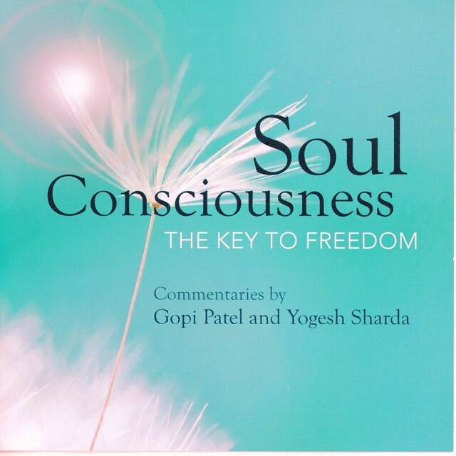 Couverture de livre pour Soul  Consciousness