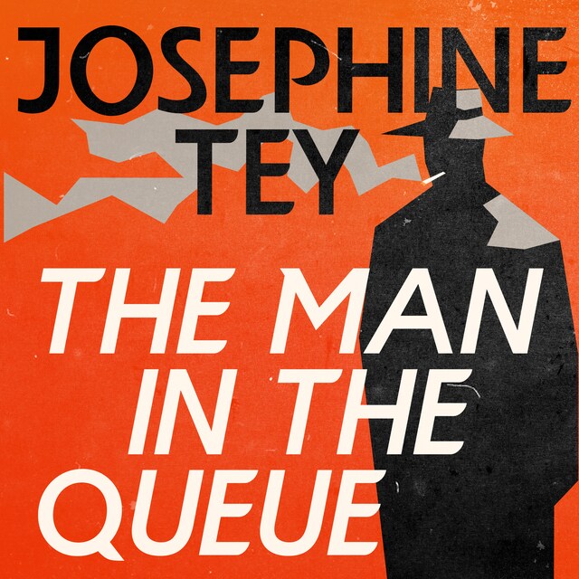 Book cover for The Man in the Queue (Unabridged)