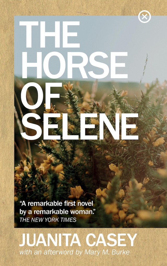 Book cover for The Horse of Selene