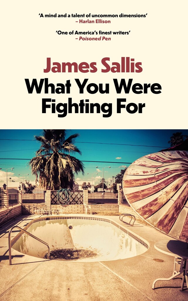 Copertina del libro per What You Were Fighting For