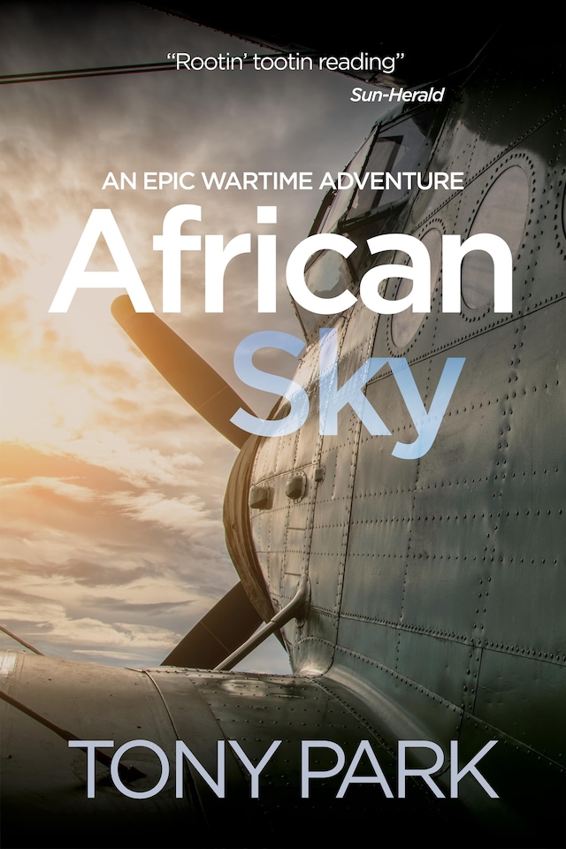 Boekomslag van African Sky