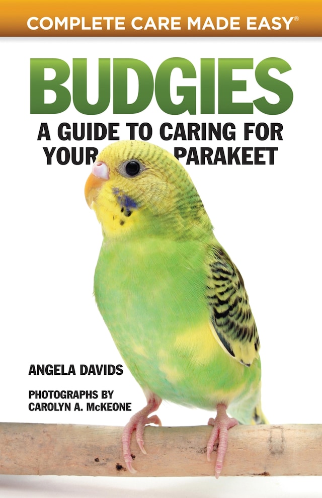 Book cover for Budgies