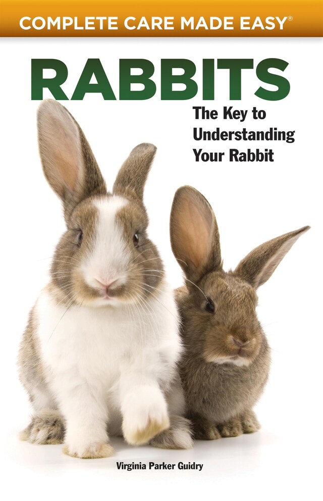 Book cover for Rabbits