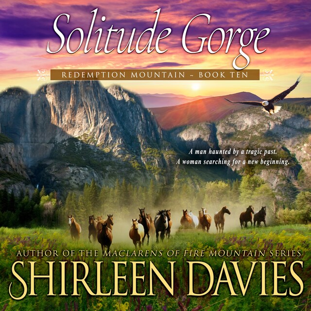 Book cover for Solitude Gorge