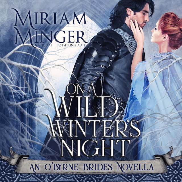 Portada de libro para On A Wild Winter's Night