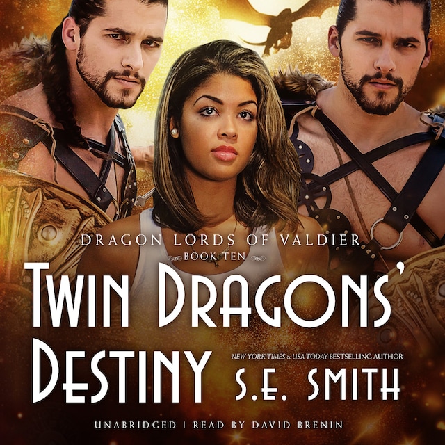 Book cover for Twin Dragons’ Destiny