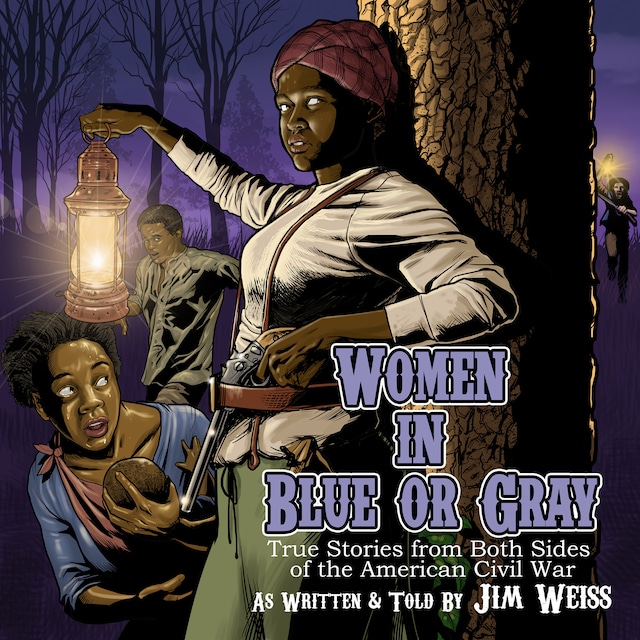 Couverture de livre pour Women in Blue or Gray