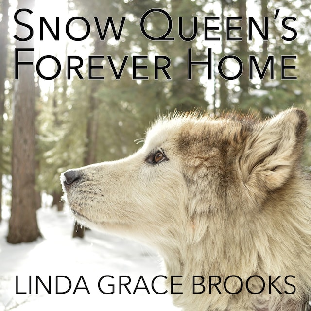 Book cover for Snow Queens Forever Home