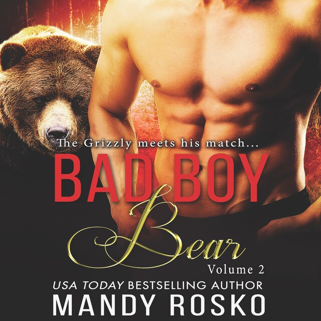 Bokomslag for Bad Boy Bear