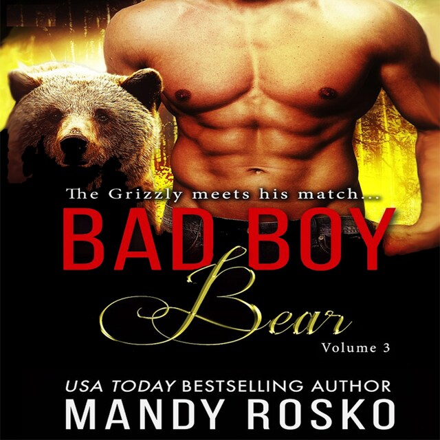 Bokomslag for Bad Boy Bear