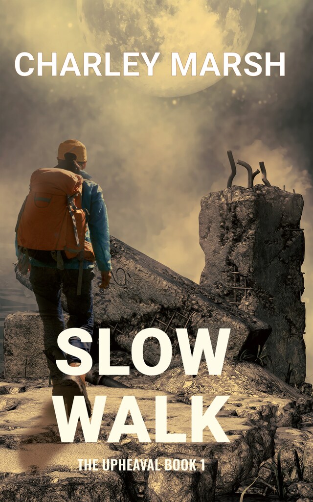 Boekomslag van Slow Walk