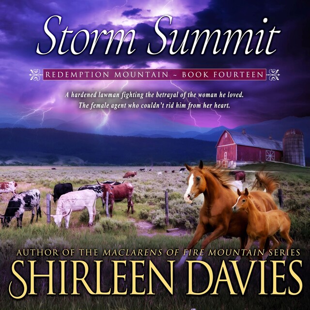 Couverture de livre pour Storm Summit