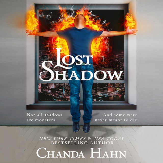 Boekomslag van Lost Shadow