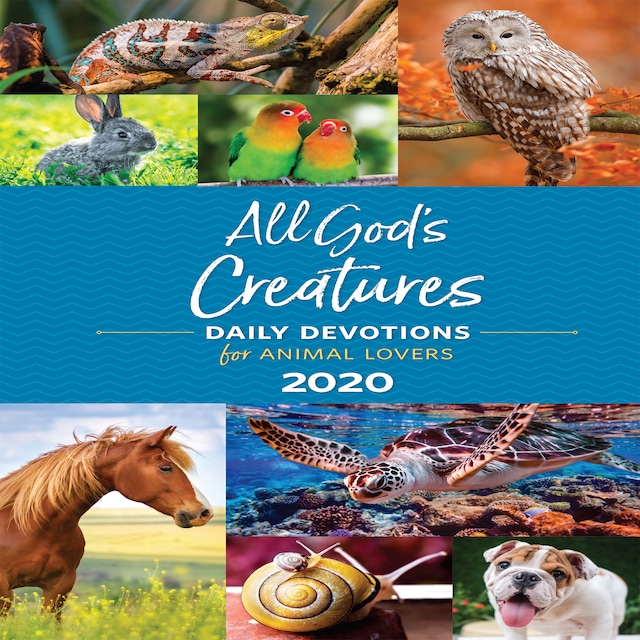 Book cover for All God’s Creatures