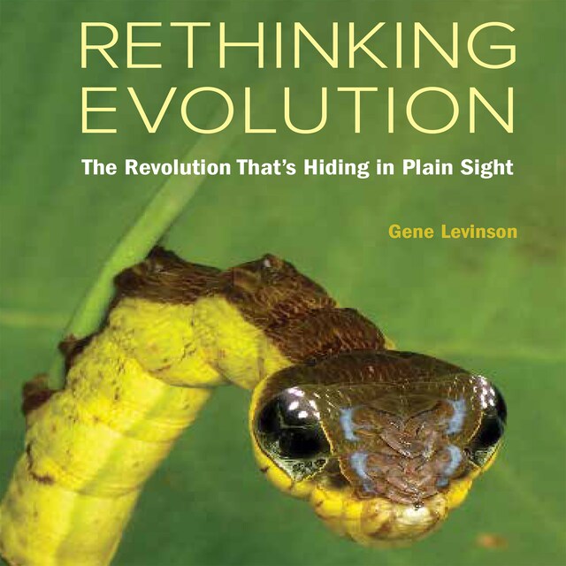 Book cover for Rethinking Evolution