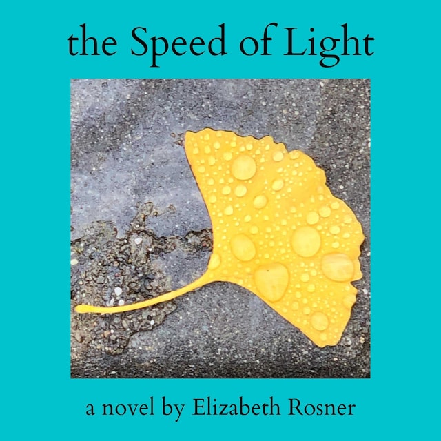 Kirjankansi teokselle The Speed of Light