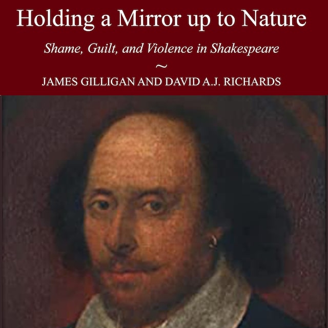 Book cover for Holding a Mirror Up to Nature