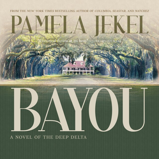 Book cover for Bayou