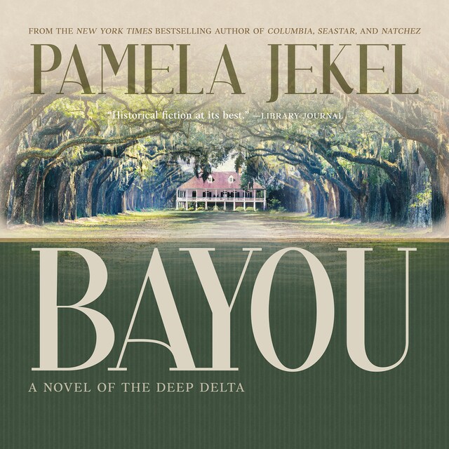 Couverture de livre pour Bayou