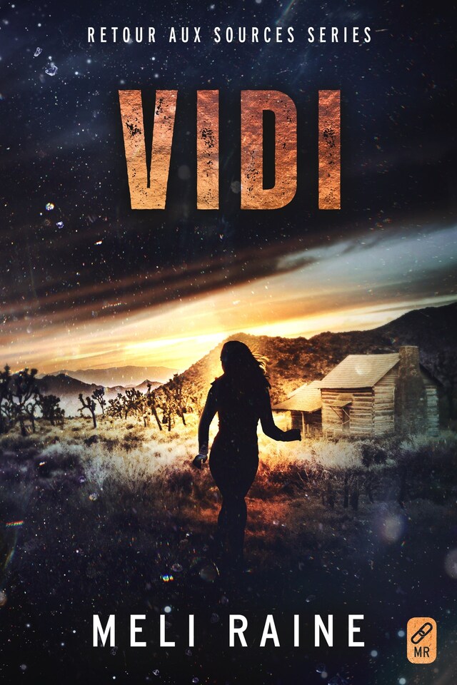 Book cover for Vidi