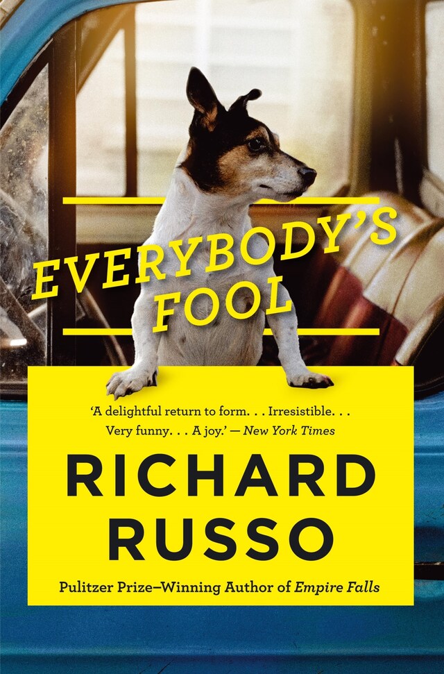 Book cover for Everybody's Fool