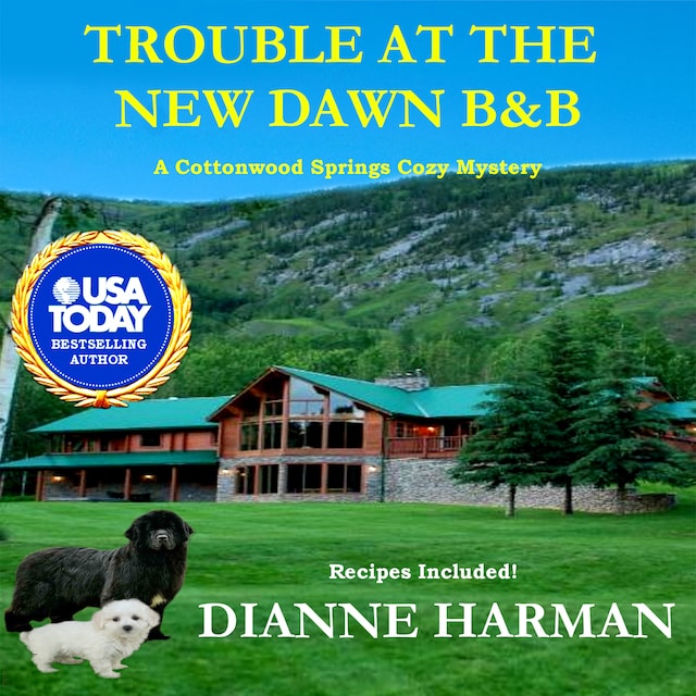 Book cover for Trouble at the New Dawn B & B