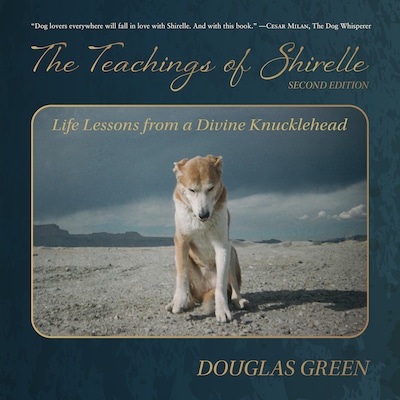 The Teachings of Shirelle