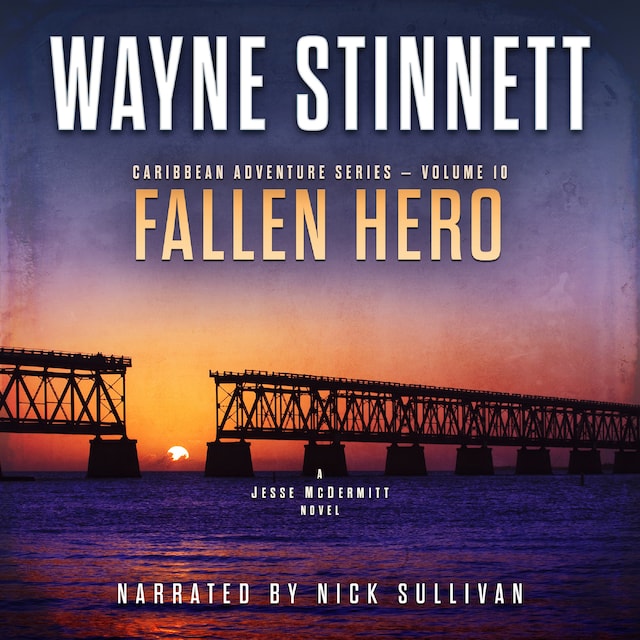Book cover for Fallen Hero