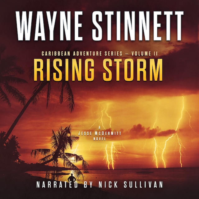 Kirjankansi teokselle Rising Storm