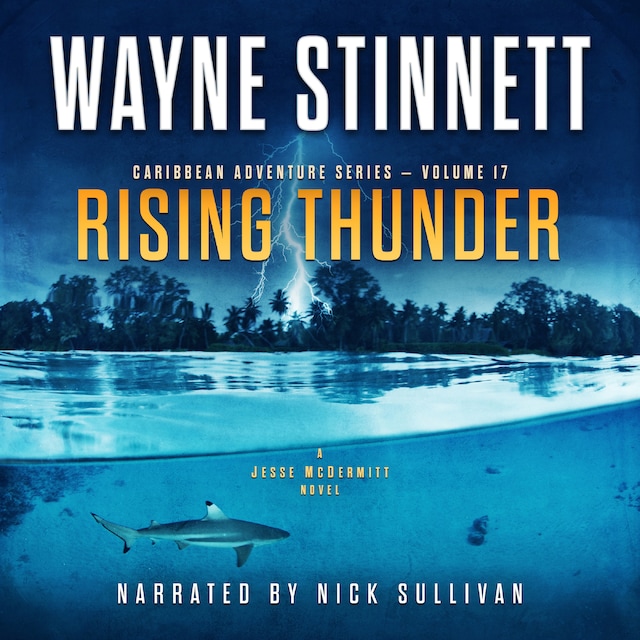 Book cover for Rising Thunder
