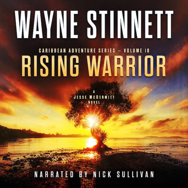 Book cover for Rising Warrior