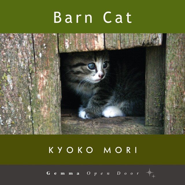 Book cover for Barn Cat (Unabridged)