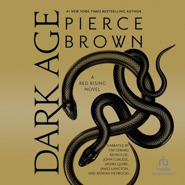 Book cover for Dark Age