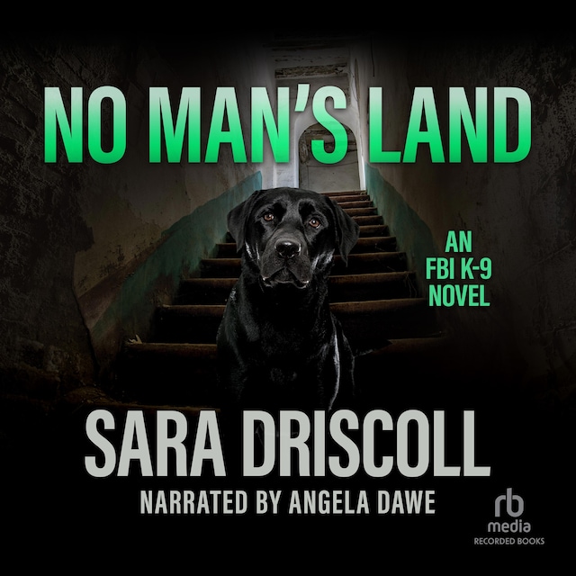 Book cover for No Man's Land