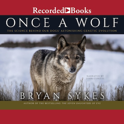 Once a Wolf