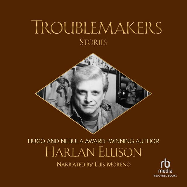 Book cover for Troublemakers