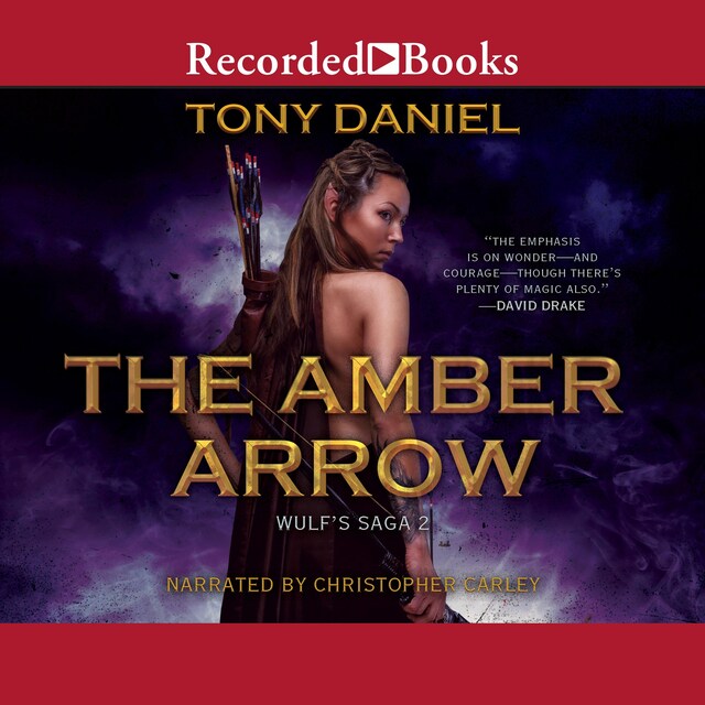 Kirjankansi teokselle The Amber Arrow