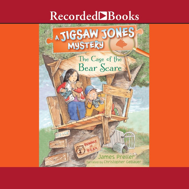 Book cover for Jigsaw Jones